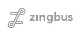 zingbus